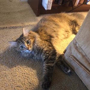 Meet your Posher, Derek